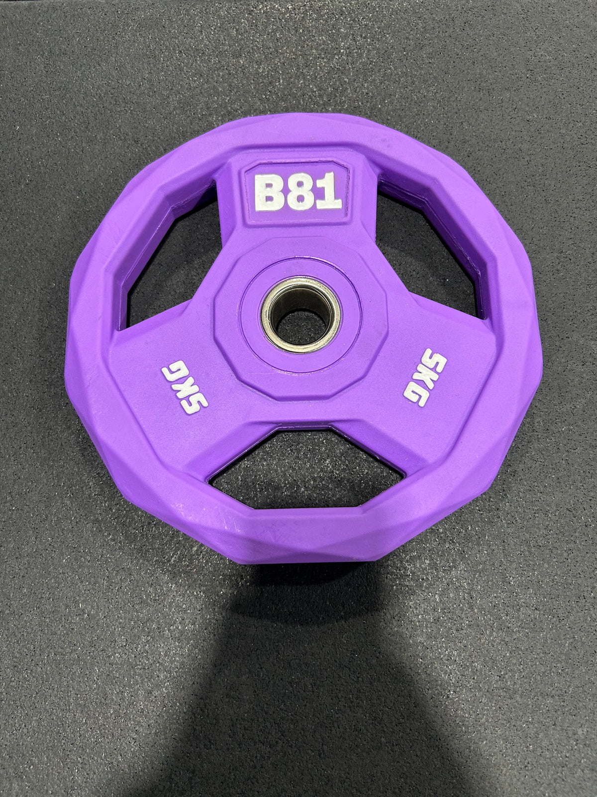 Pump Set Plate - 5 kg